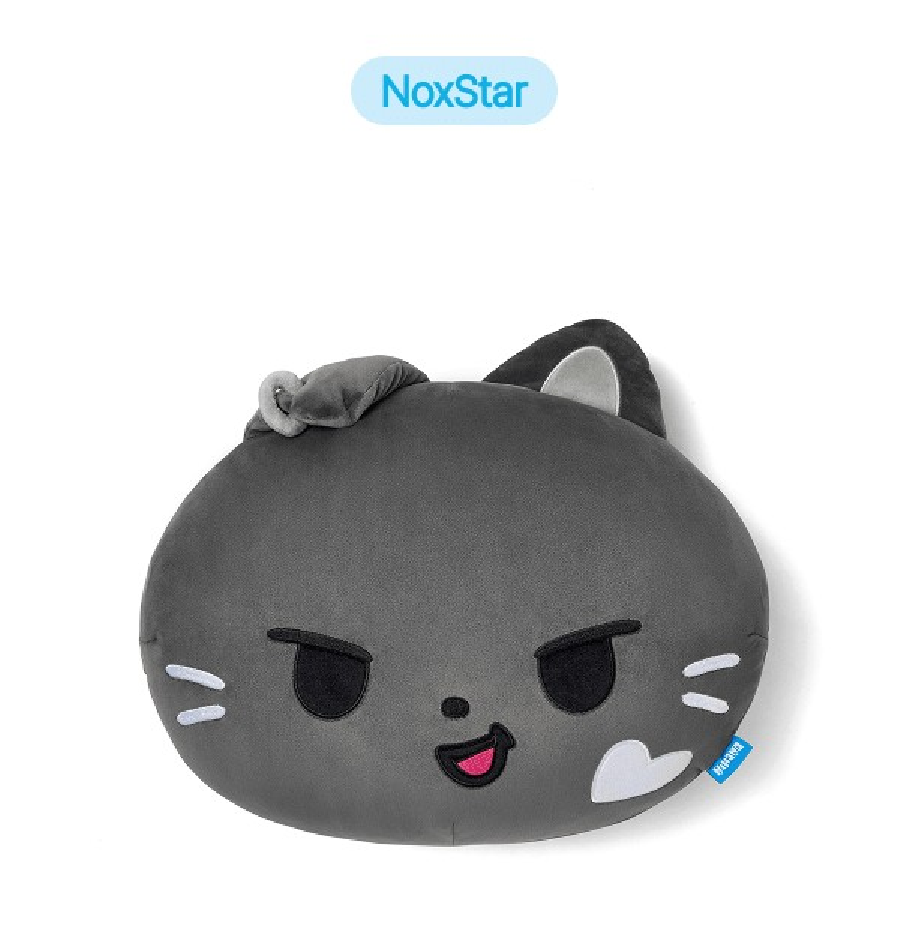 [ENHYPEN] ENCHIN - FACE CUSHION